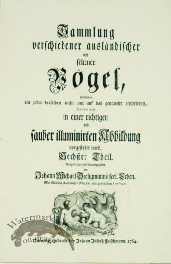 Seligmann Title Page 2